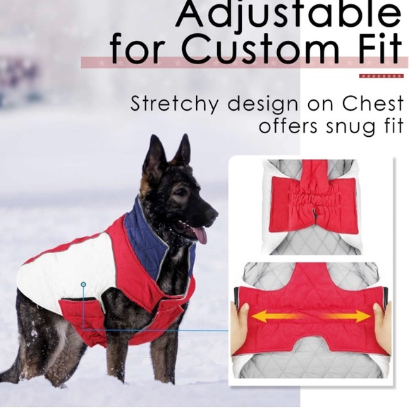 Dog 🐕 Coats - Picture 3 of 7